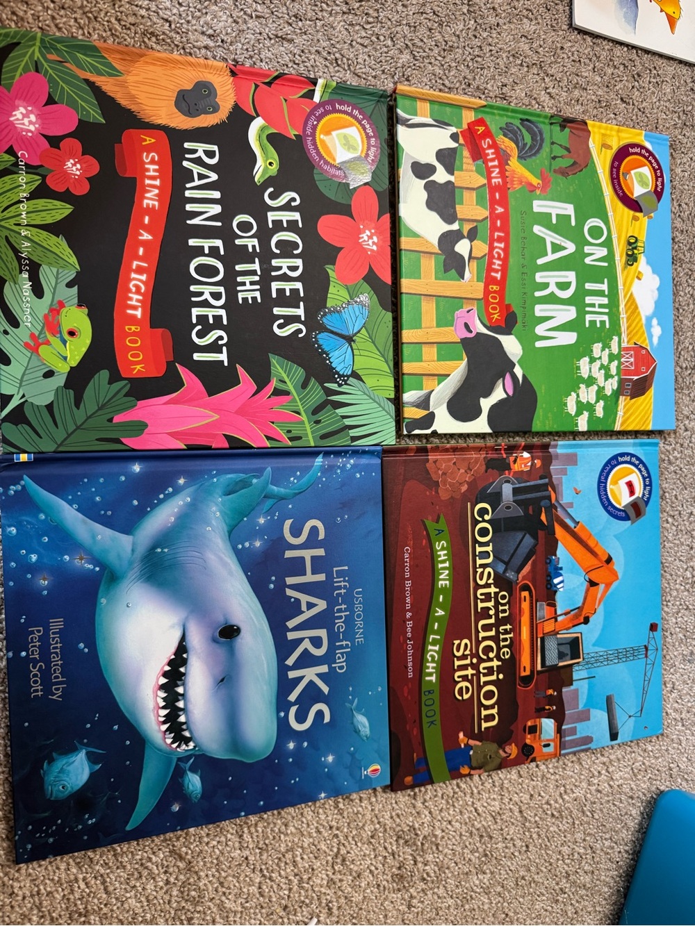 Shine-A-Light Kids Book Set - Blue, Green, Red, Teal